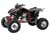 Honda TRX450R QUAD